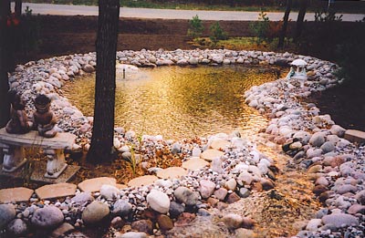 pond landscaping